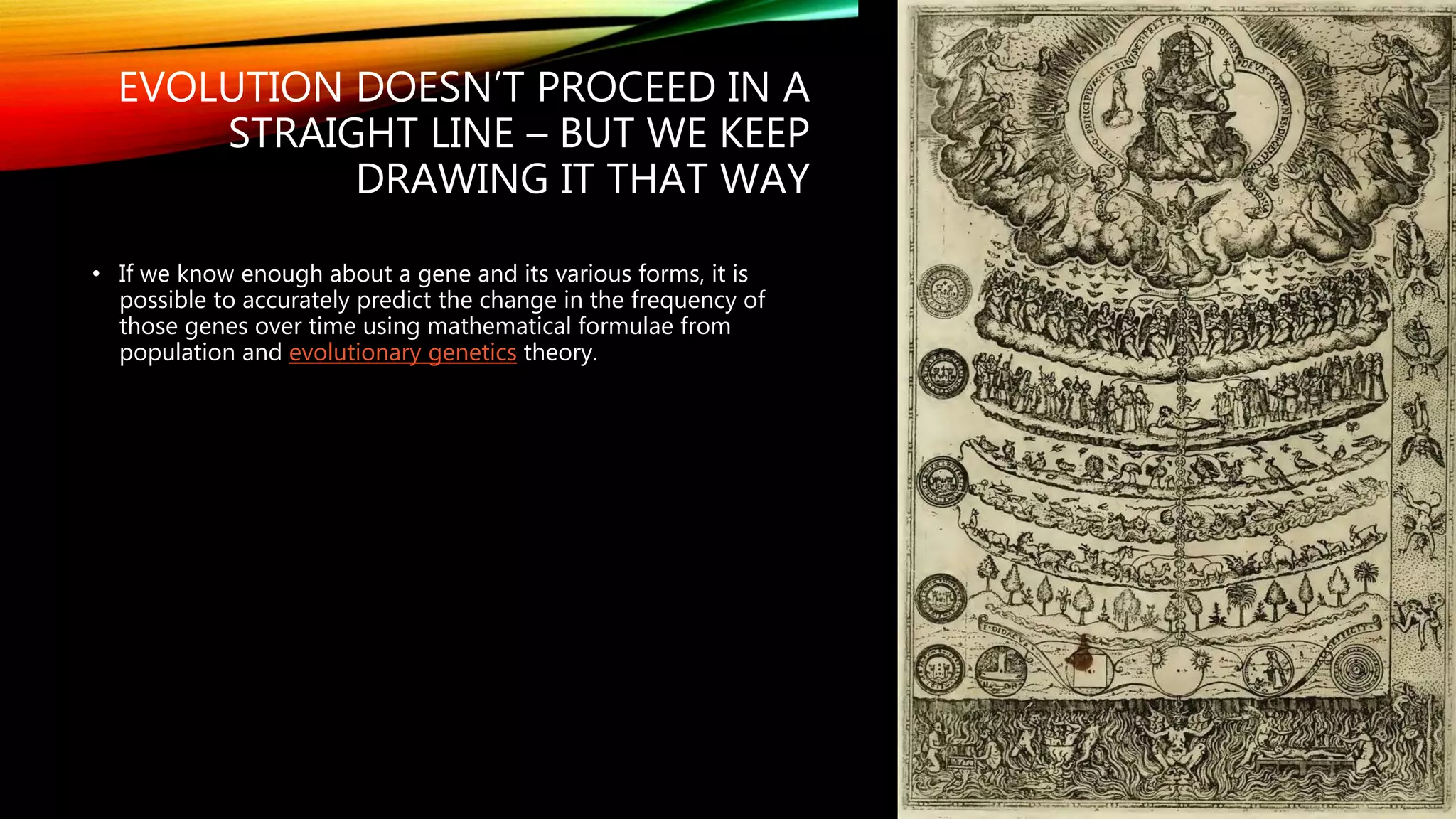 EVOLUTION DOESN’T PROCEED IN A
STRAIGHT LINE – BUT WE KEEP
DRAWING IT THAT WAY
• If we know enough about a gene and its various forms, it is
possible to accurately predict the change in the frequency of
those genes over time using mathematical formulae from
population and evolutionary genetics theory.
 