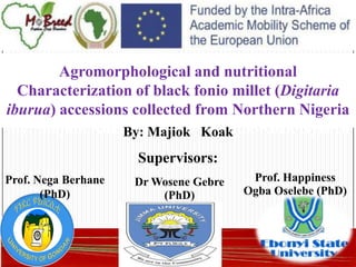 Agromorphological and nutritional
Characterization of black fonio millet (Digitaria
iburua) accessions collected from Northern Nigeria
By: Majiok Koak Nyoac By: Majiok Koak Nyoach
By: Majiok Koak
Supervisors:
Dr Wosene Gebre
(PhD)
Prof. Happiness
Ogba Oselebe (PhD)
Prof. Nega Berhane
(PhD)
 