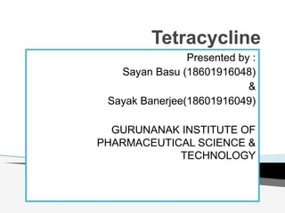 Tetracycline
Presented by :
Sayan Basu (18601916048)
&
Sayak Banerjee(18601916049)
GURUNANAK INSTITUTE OF
PHARMACEUTICAL SCIENCE &
TECHNOLOGY
 