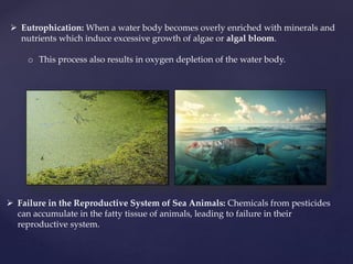  Eutrophication: When a water body becomes overly enriched with minerals and
nutrients which induce excessive growth of algae or algal bloom.
o This process also results in oxygen depletion of the water body.
 Failure in the Reproductive System of Sea Animals: Chemicals from pesticides
can accumulate in the fatty tissue of animals, leading to failure in their
reproductive system.
 