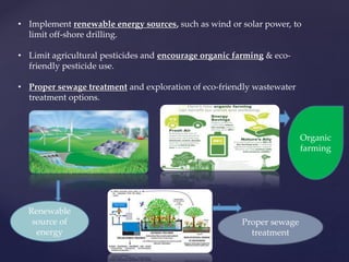 • Implement renewable energy sources, such as wind or solar power, to
limit off-shore drilling.
• Limit agricultural pesticides and encourage organic farming & eco-
friendly pesticide use.
• Proper sewage treatment and exploration of eco-friendly wastewater
treatment options.
Proper sewage
treatment
Renewable
source of
energy
Organic
farming
 
