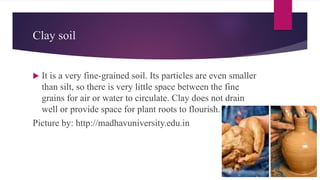 Clay soil
 It is a very fine-grained soil. Its particles are even smaller
than silt, so there is very little space between the fine
grains for air or water to circulate. Clay does not drain
well or provide space for plant roots to flourish.
Picture by: http://madhavuniversity.edu.in
 