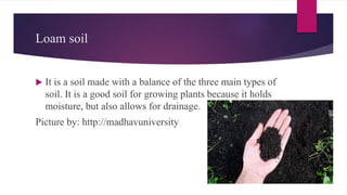 Loam soil
 It is a soil made with a balance of the three main types of
soil. It is a good soil for growing plants because it holds
moisture, but also allows for drainage.
Picture by: http://madhavuniversity
 