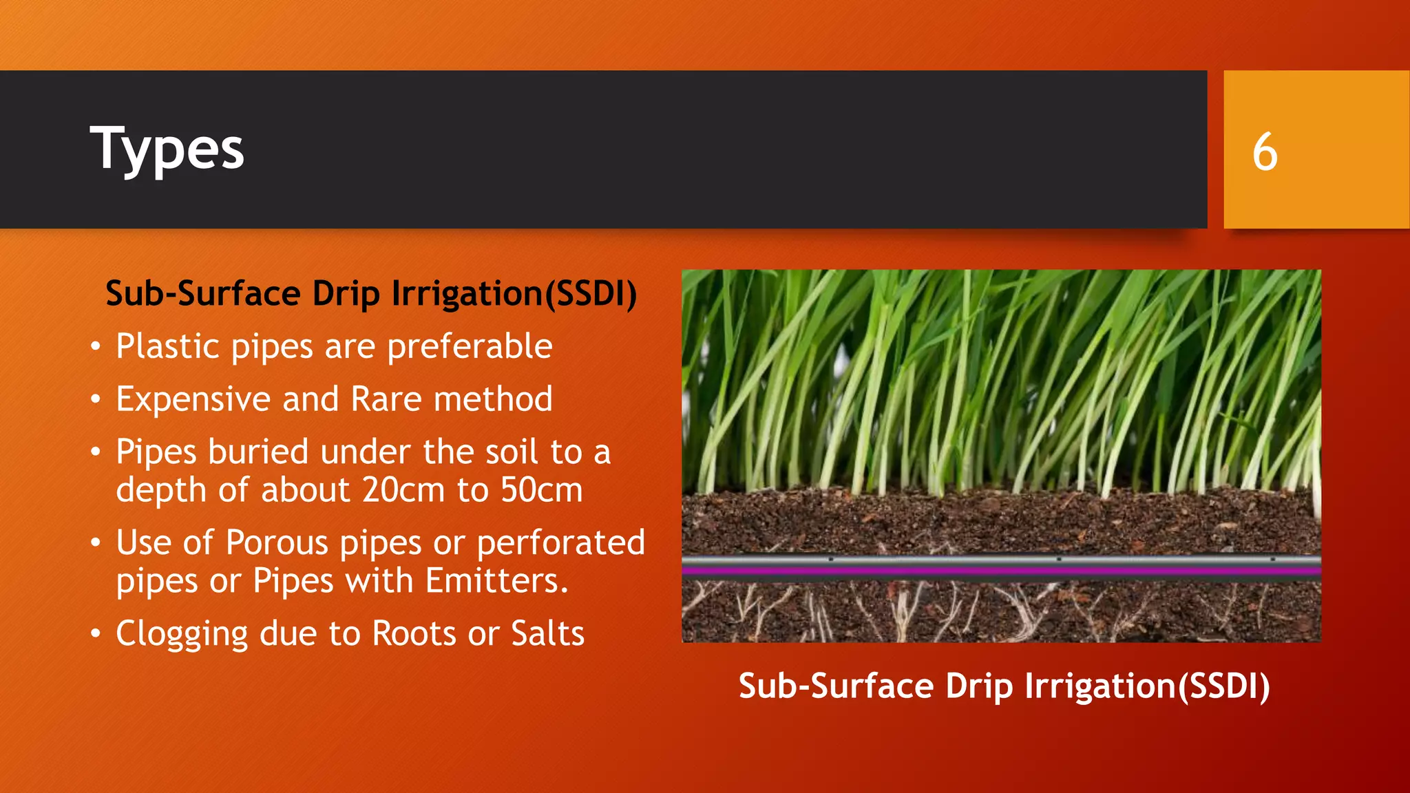 Drip Irrigation