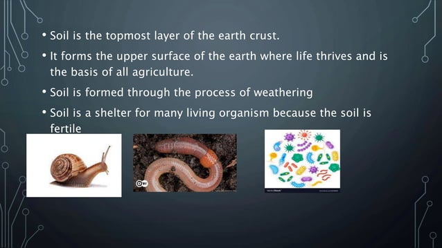 soil class 7 | PPT