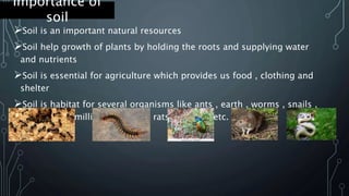 soil class 7 | PPT