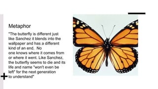 Metaphor
"The butterfly is different just
like Sanchez it blends into the
wallpaper and has a different
kind of an end. No
one knows where it comes from
or where it went. Like Sanchez,
the butterfly seems to die and its
life and name "won't even be
left" for the next generation
to understand"
 