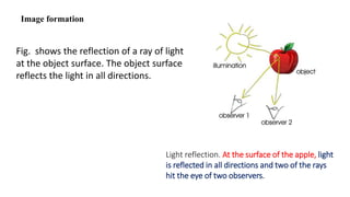 Image formation
Light reflection. At the surface of the apple, light
is reflected in all directions and two of the rays
hit the eye of two observers.
Fig. shows the reflection of a ray of light
at the object surface. The object surface
reflects the light in all directions.
 