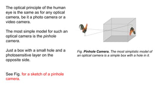Fig. Pinhole Camera. The most simplistic model of
an optical camera is a simple box with a hole in it.
The optical principle of the human
eye is the same as for any optical
camera, be it a photo camera or a
video camera.
The most simple model for such an
optical camera is the pinhole
camera.
Just a box with a small hole and a
photosensitive layer on the
opposite side.
See Fig. for a sketch of a pinhole
camera.
 