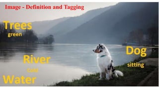 Image - Definition and Tagging
 