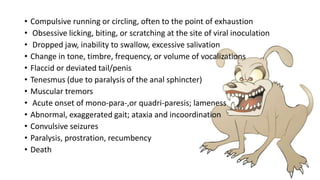 Compulsive Scatching Presentation1.pptx