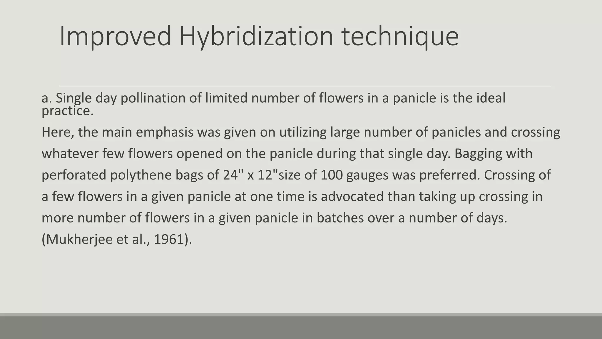 Improved Hybridization technique
a. Single day pollination of limited number of flowers in a panicle is the ideal
practice.
Here, the main emphasis was given on utilizing large number of panicles and crossing
whatever few flowers opened on the panicle during that single day. Bagging with
perforated polythene bags of 24" x 12"size of 100 gauges was preferred. Crossing of
a few flowers in a given panicle at one time is advocated than taking up crossing in
more number of flowers in a given panicle in batches over a number of days.
(Mukherjee et al., 1961).
 