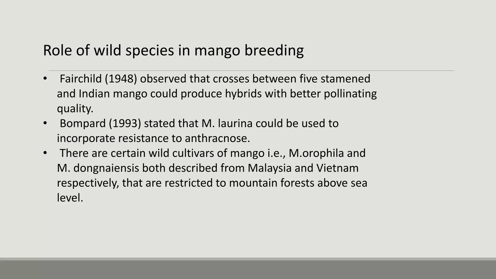Role of wild species in mango breeding
• Fairchild (1948) observed that crosses between five stamened
and Indian mango could produce hybrids with better pollinating
quality.
• Bompard (1993) stated that M. laurina could be used to
incorporate resistance to anthracnose.
• There are certain wild cultivars of mango i.e., M.orophila and
M. dongnaiensis both described from Malaysia and Vietnam
respectively, that are restricted to mountain forests above sea
level.
 