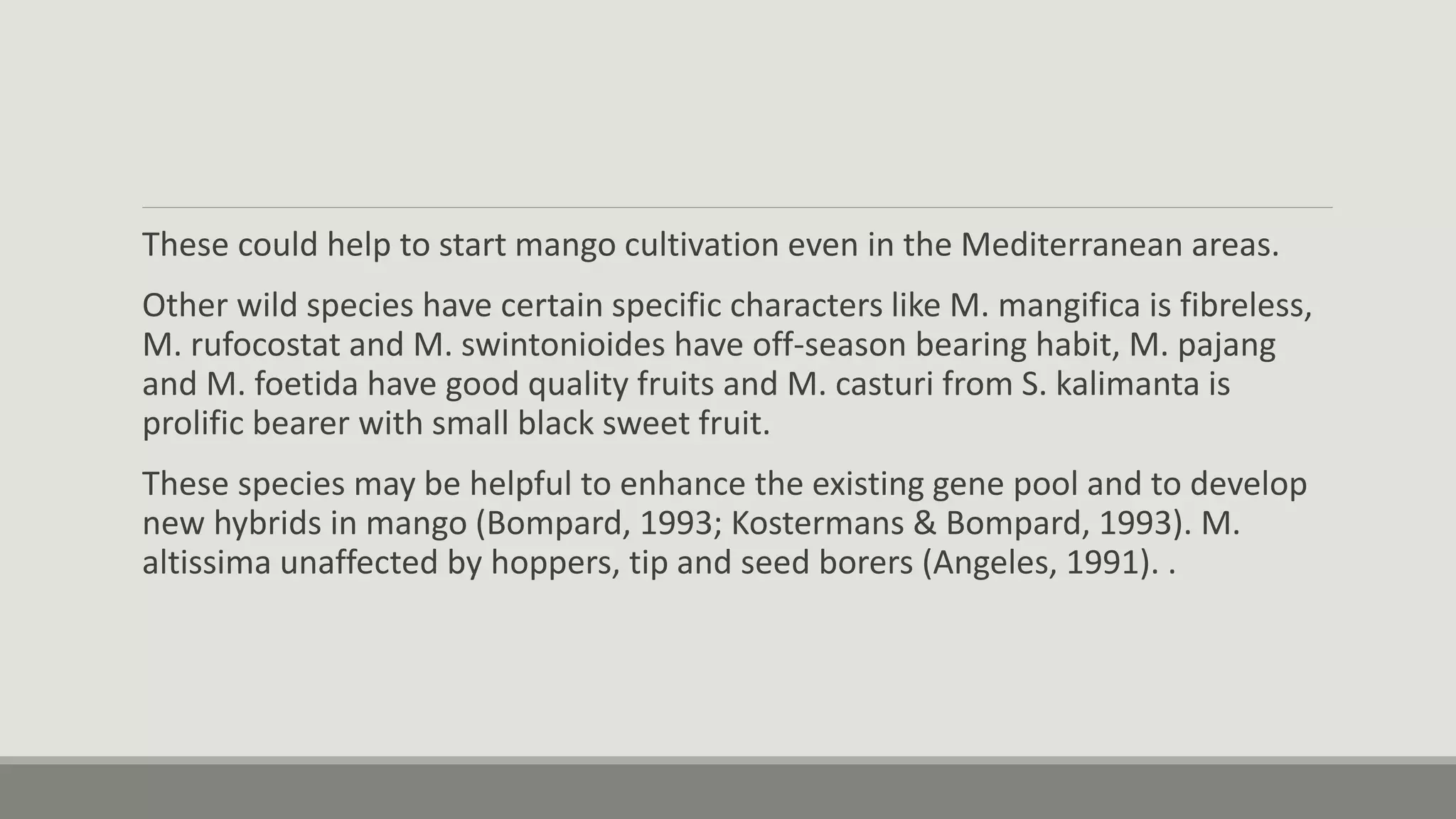 These could help to start mango cultivation even in the Mediterranean areas.
Other wild species have certain specific characters like M. mangifica is fibreless,
M. rufocostat and M. swintonioides have off-season bearing habit, M. pajang
and M. foetida have good quality fruits and M. casturi from S. kalimanta is
prolific bearer with small black sweet fruit.
These species may be helpful to enhance the existing gene pool and to develop
new hybrids in mango (Bompard, 1993; Kostermans & Bompard, 1993). M.
altissima unaffected by hoppers, tip and seed borers (Angeles, 1991). .
 
