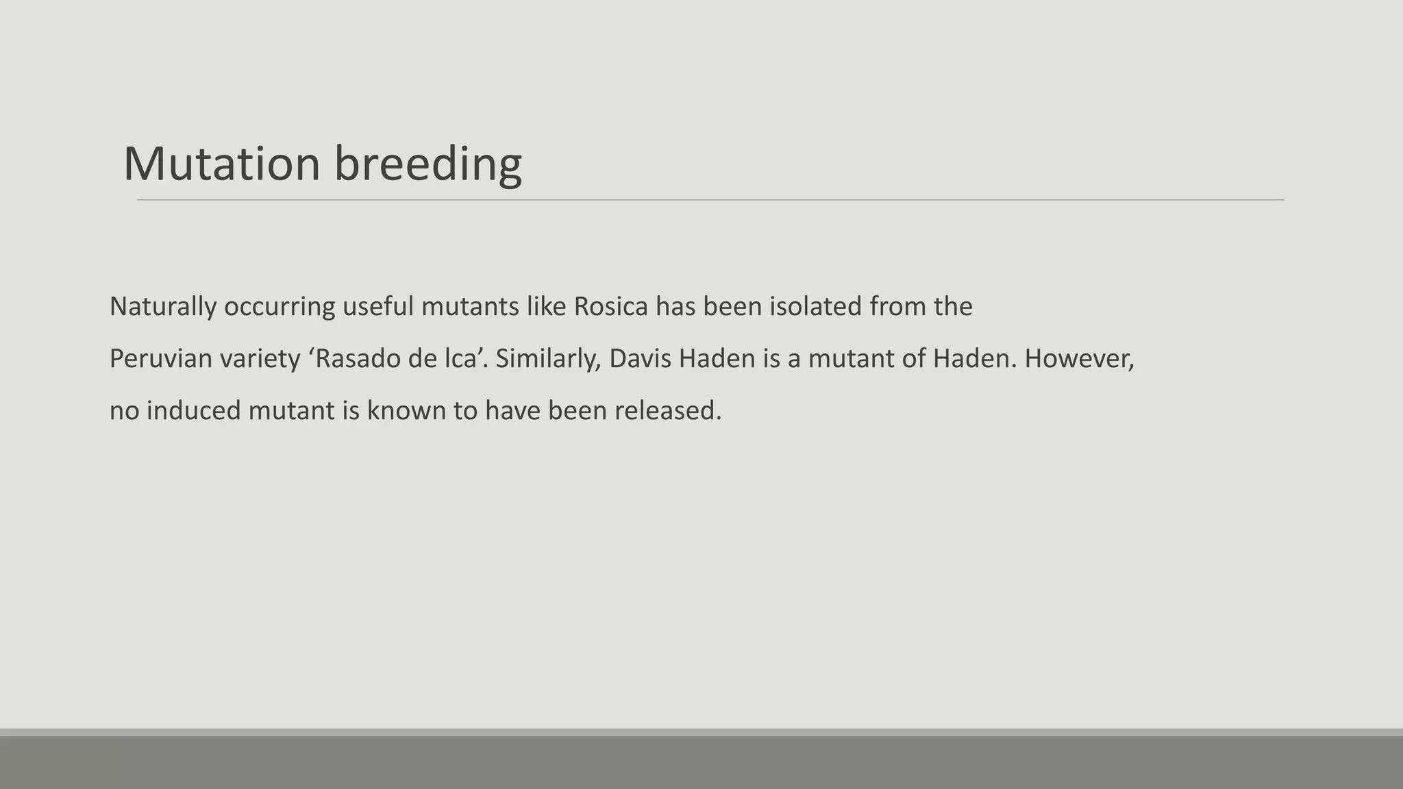 Mutation breeding
Naturally occurring useful mutants like Rosica has been isolated from the
Peruvian variety ‘Rasado de lca’. Similarly, Davis Haden is a mutant of Haden. However,
no induced mutant is known to have been released.
 