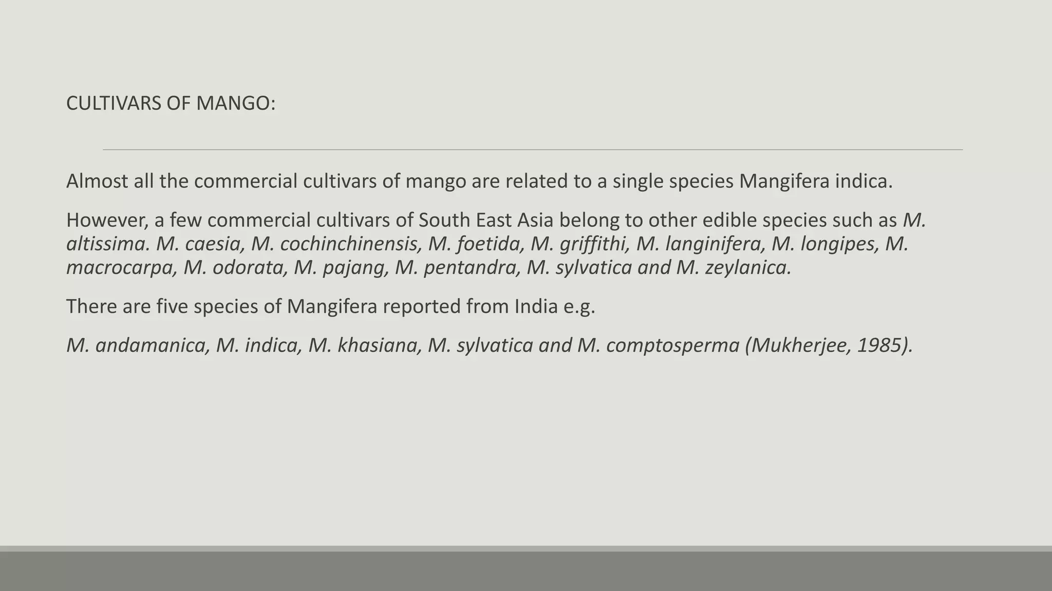 CULTIVARS OF MANGO:
Almost all the commercial cultivars of mango are related to a single species Mangifera indica.
However, a few commercial cultivars of South East Asia belong to other edible species such as M.
altissima. M. caesia, M. cochinchinensis, M. foetida, M. griffithi, M. langinifera, M. longipes, M.
macrocarpa, M. odorata, M. pajang, M. pentandra, M. sylvatica and M. zeylanica.
There are five species of Mangifera reported from India e.g.
M. andamanica, M. indica, M. khasiana, M. sylvatica and M. comptosperma (Mukherjee, 1985).
 