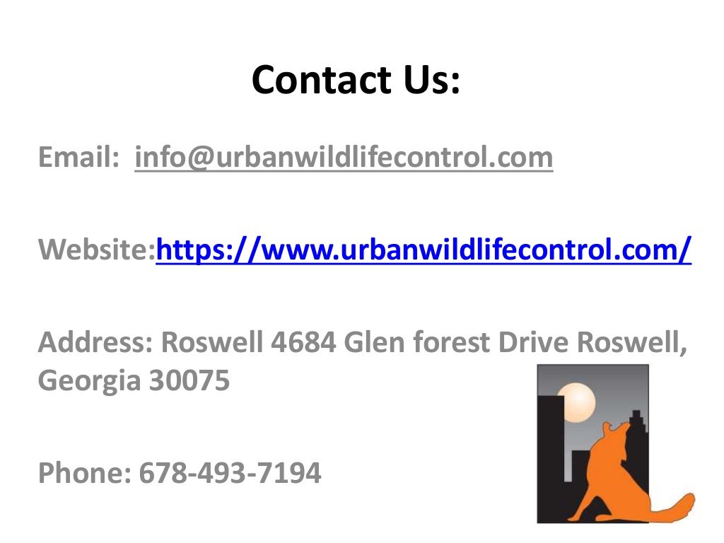 Contact Us:
Email: info@urbanwildlifecontrol.com
Website:https://www.urbanwildlifecontrol.com/
Address: Roswell 4684 Glen forest Drive Roswell,
Georgia 30075
Phone: 678-493-7194
 