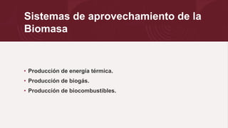 Sistemas de aprovechamiento de la
Biomasa
•
•
•
 