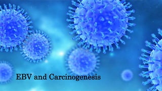 EBV and Carcinogenesis
 