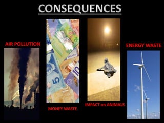 ENERGY WASTE
MONEY WASTE
IMPACT on ANIMALS
AIR POLLUTION
 