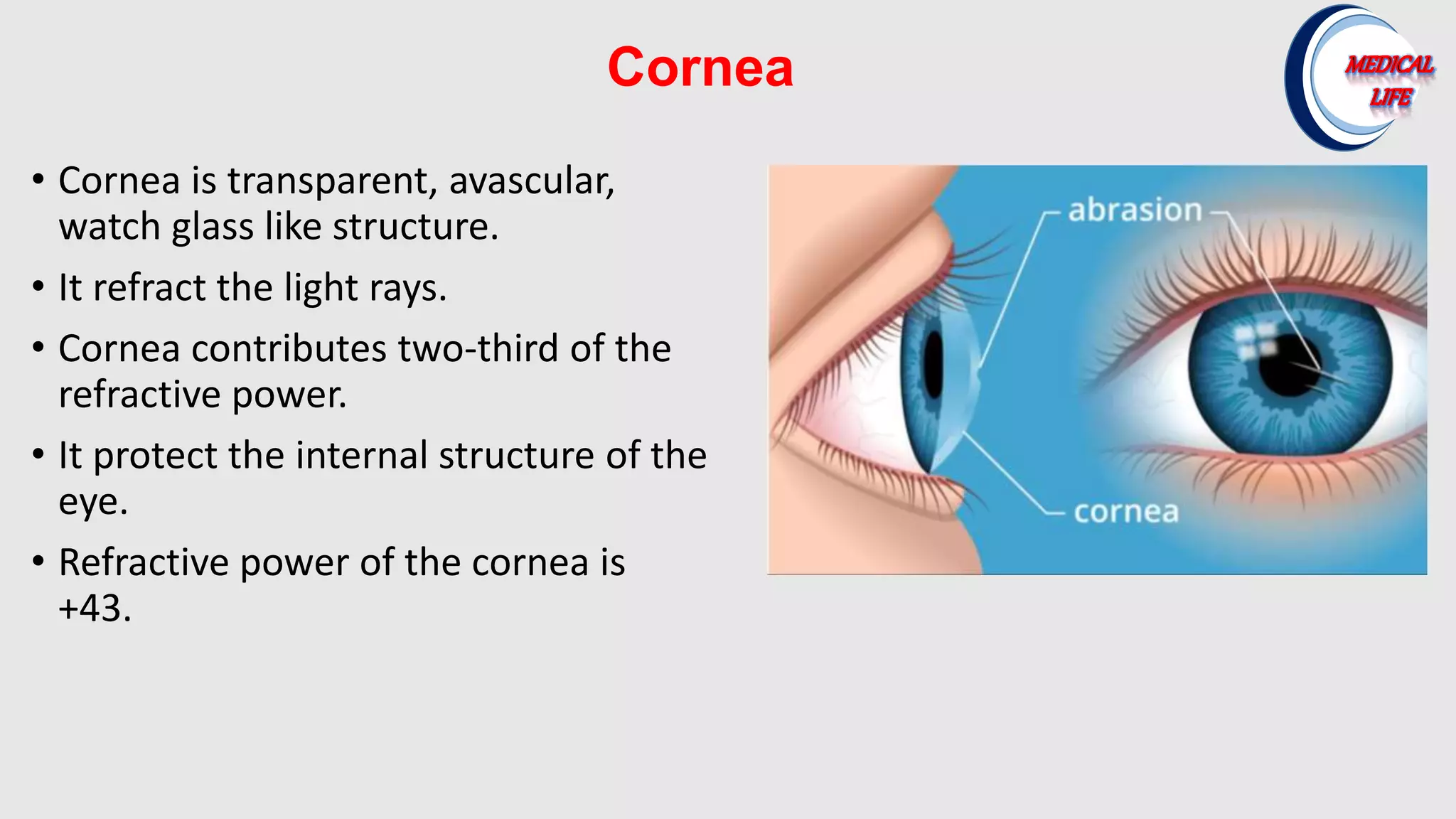 Cornea
• Cornea is transparent, avascular,
watch glass like structure.
• It refract the light rays.
• Cornea contributes two-third of the
refractive power.
• It protect the internal structure of the
eye.
• Refractive power of the cornea is
+43.
 