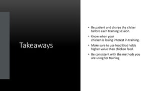 Takeaways
• Be patient and charge the clicker
before each training session.
• Know when your
chicken is losing interest in training.
• Make sure to use food that holds
higher value than chicken feed.
• Be consistent with the methods you
are using for training.
 