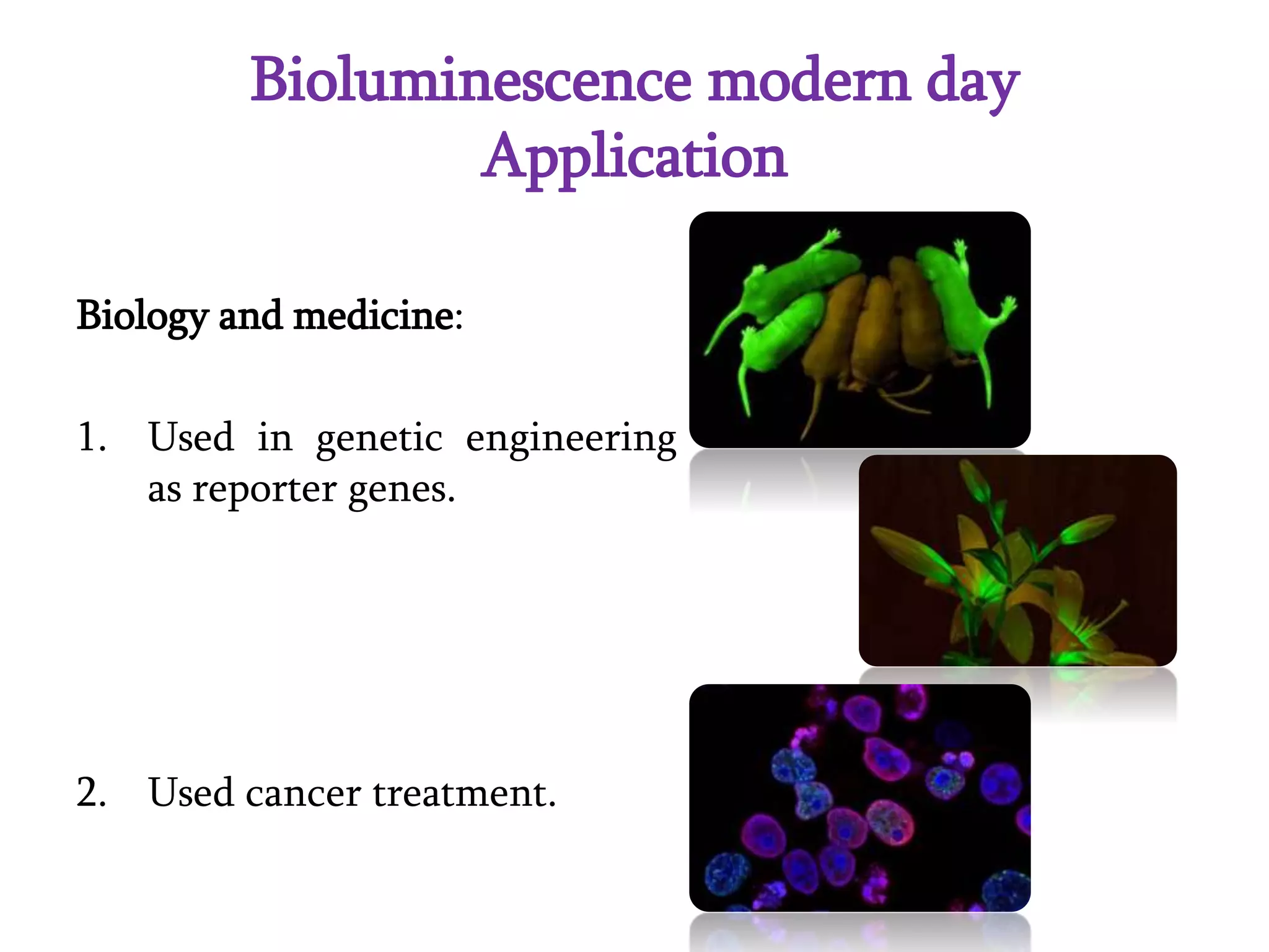 Bioluminescence in Bacteria | PPT