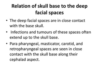 Masticator space
• Masticator space connects the mandible to
the skull base. Odontogenic infections and
oropharyngeal squa...