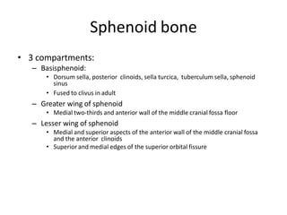 Sphenoid bone
• 3 compartments:
– Basisphenoid:
• Dorsum sella, posterior clinoids, sella turcica, tuberculum sella, sphen...