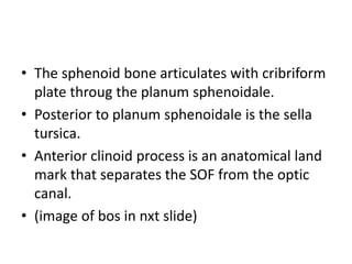 • The sphenoid bone articulates with cribriform
plate throug the planum sphenoidale.
• Posterior to planum sphenoidale is ...