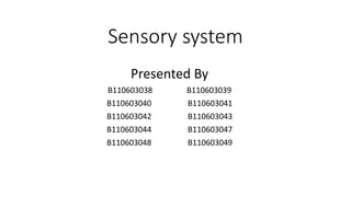 Sensory system
Presented By
B110603038 B110603039
B110603040 B110603041
B110603042 B110603043
B110603044 B110603047
B110603048 B110603049
 