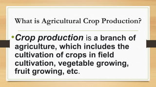 What is Agricultural Crop Production?
•Crop production is a branch of
agriculture, which includes the
cultivation of crops in field
cultivation, vegetable growing,
fruit growing, etc.
 