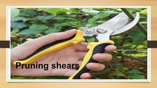 Pruning shears
 