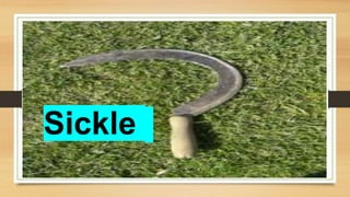 Sickle
 