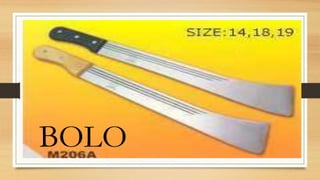 BOLO
 