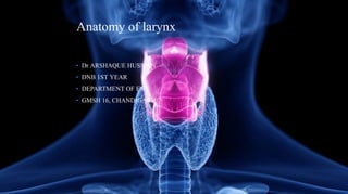 Anatomy of larynx
• Dr ARSHAQUE HUSSAIN
• DNB 1ST YEAR
• DEPARTMENT OF ENT
• GMSH 16, CHANDIGARH
 