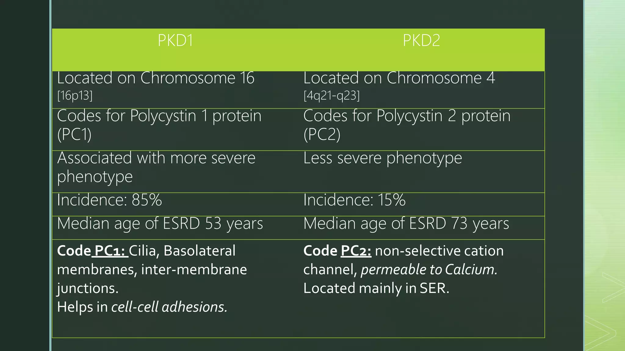 PKD1 PKD2
Located on Chromosome 16
[16p13]
Located on Chromosome 4
[4q21-q23]
Codes for Polycystin 1 protein
(PC1)
Codes for Polycystin 2 protein
(PC2)
Associated with more severe
phenotype
Less severe phenotype
Incidence: 85% Incidence: 15%
Median age of ESRD 53 years Median age of ESRD 73 years
Code PC1: Cilia, Basolateral
membranes, inter-membrane
junctions.
Helps in cell-cell adhesions.
Code PC2: non-selective cation
channel, permeable to Calcium.
Located mainly in SER.
 
