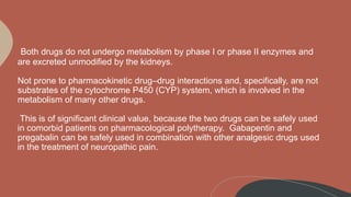 is gabapentin metabolized by the kidneys