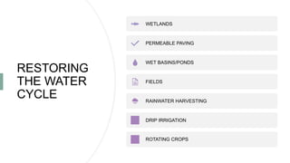RESTORING
THE WATER
CYCLE
WETLANDS
PERMEABLE PAVING
WET BASINS/PONDS
FIELDS
RAINWATER HARVESTING
DRIP IRRIGATION
ROTATING CROPS
 