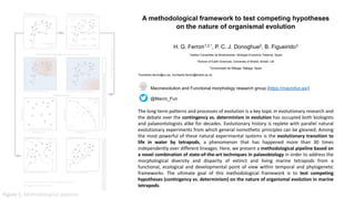 Presentation1.pdf