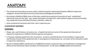 ANATOMY:
• The anatomical charactersare very useful in determining the relationshipbetween different taxonomic
categories. Anatomicaldatahave also solved several phylogeneticproblems.
• According to Redford (1968) some of the basic evidentiaryanatomicalcharactersof well - established
taxonomic value are the type , size, shape and patternof wood cells ,stelar patterns,types of vascularbundles,
rays, epidermal tissue,stomata,trichomes, sclereids, nodes etc.
• Some anatomicalcharacterswith their role in taxonomy are -
A.VEGETATIVE ANATOMY:
EPIDERMIS:
• Shape, size, wall thickness, inclusions,etc., of epidermal cells are some of the epidermal charactersof
taxonomic importance in different families,genera,and species.
• In Poaceae, Papillateepidermal cells are present ; presence and distributionof silica bodies in Cyperaceae,
sclerificationof wall of the epidermal cells in some genera of Asteraceae, etc. are some of the characters useful
in taxonomic importance.
• Baruah and Nath (2002) and Baruah et.al.(2003) formulated a taxonomic key and established a phylogenetic
affinity of the Northeast Indianmembers of Cinnamomum on the basis of foliar epidermal characters.
 
