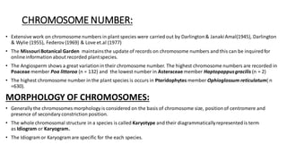 CHROMOSOME NUMBER:
• Extensive work on chromosome numbers in plant species were carried out by Darlington& JanakiAmal(1945), Darlington
& Wylie (1955), Federov (1969) & Love et.al (1977)
• The MissouriBotanical Garden maintainsthe update of records on chromosome numbers and this can be inquiredfor
onlineinformation about recorded plantspecies.
• The Angiosperm shows a great variationin their chromosome number. The highest chromosome numbers are recorded in
Poaceae member Poa littoroa (n = 132) and the lowest number in Asteraceae member Haptopappusgracilis (n = 2)
• The highest chromosome number in the plant species is occurs in Pteridophytes member Ophioglossum reticulatum( n
=630).
MORPHOLOGY OF CHROMOSOMES:
• Generally the chromosomes morphology is considered on the basis of chromosome size, positionof centromere and
presence of secondary constriction position.
• The whole chromosomal structure in a species is called Karyotype and their diagrammaticallyrepresented is term
as Idiogram or Karyogram.
• The Idiogram or Karyogram are specific for the each species.
 