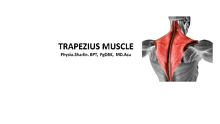 TRAPEZIUS MUSCLE
Physio.Sharlin. BPT, PgDBK, MD.Acu
 