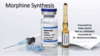 Morphine Synthesis
Presented by:
Rabia Rashid
Roll no: 245956831
Presented to:
Dr. Muhammad Abbas
 