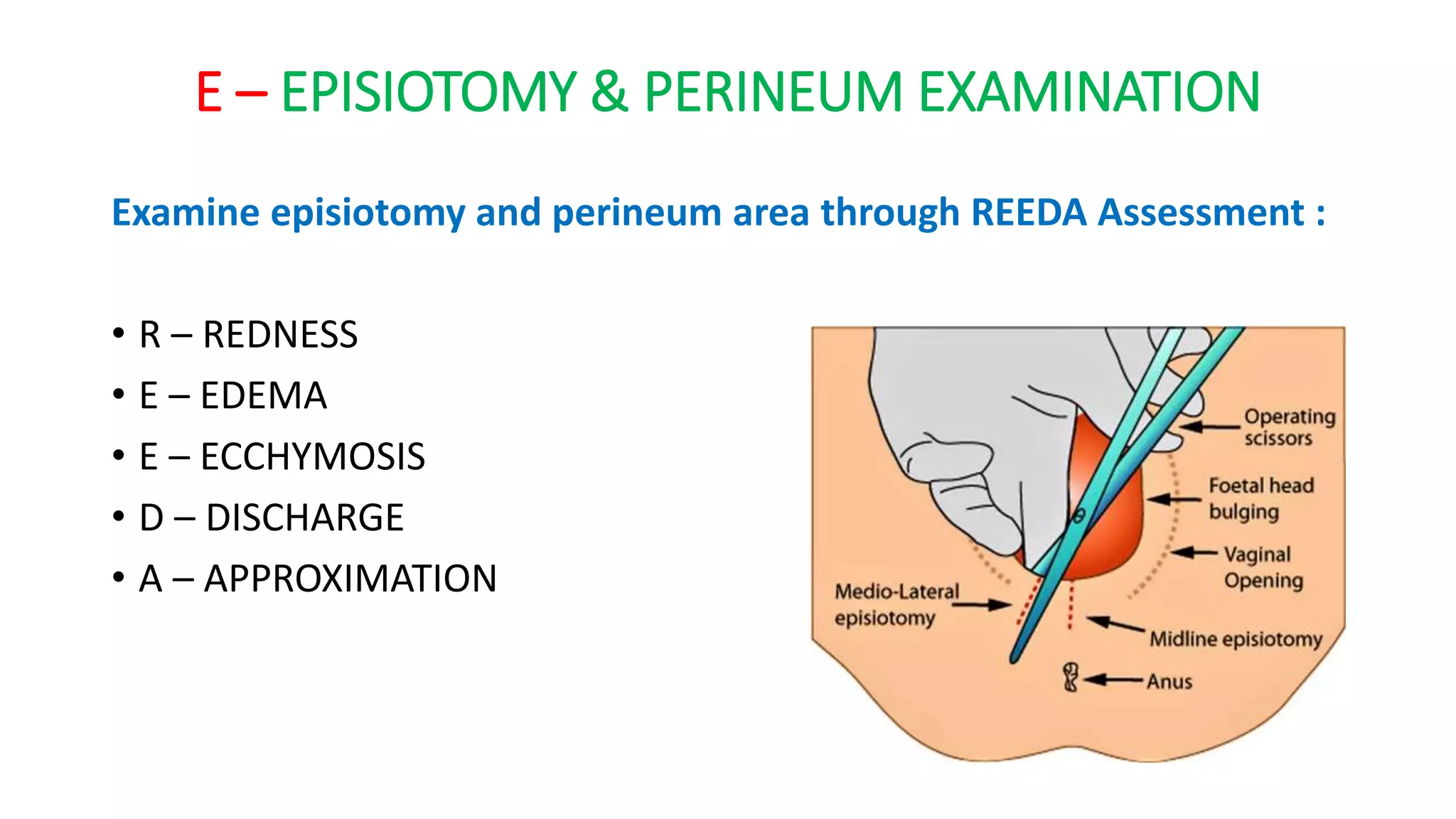 Redness Reeda Postnatal Examination | Postnatal Assessment | PPTX