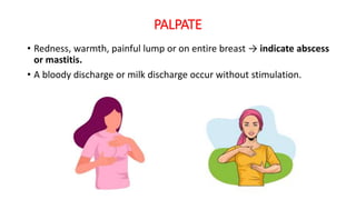 PALPATE
• Redness, warmth, painful lump or on entire breast → indicate abscess
or mastitis.
• A bloody discharge or milk discharge occur without stimulation.
 
