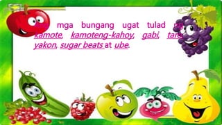 Ang mga bungang ugat tulad ng
kamote, kamoteng-kahoy, gabi, taro,
yakon, sugar beats at ube.
 
