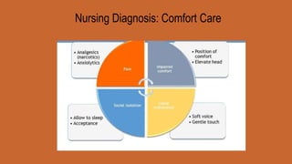nursing foundation end of life care | PPTX