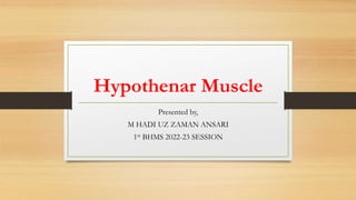 Hypothenar Muscle
Presented by,
M HADI UZ ZAMAN ANSARI
1st BHMS 2022-23 SESSION
 