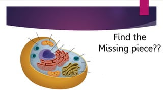 Find the
Missing piece??
 